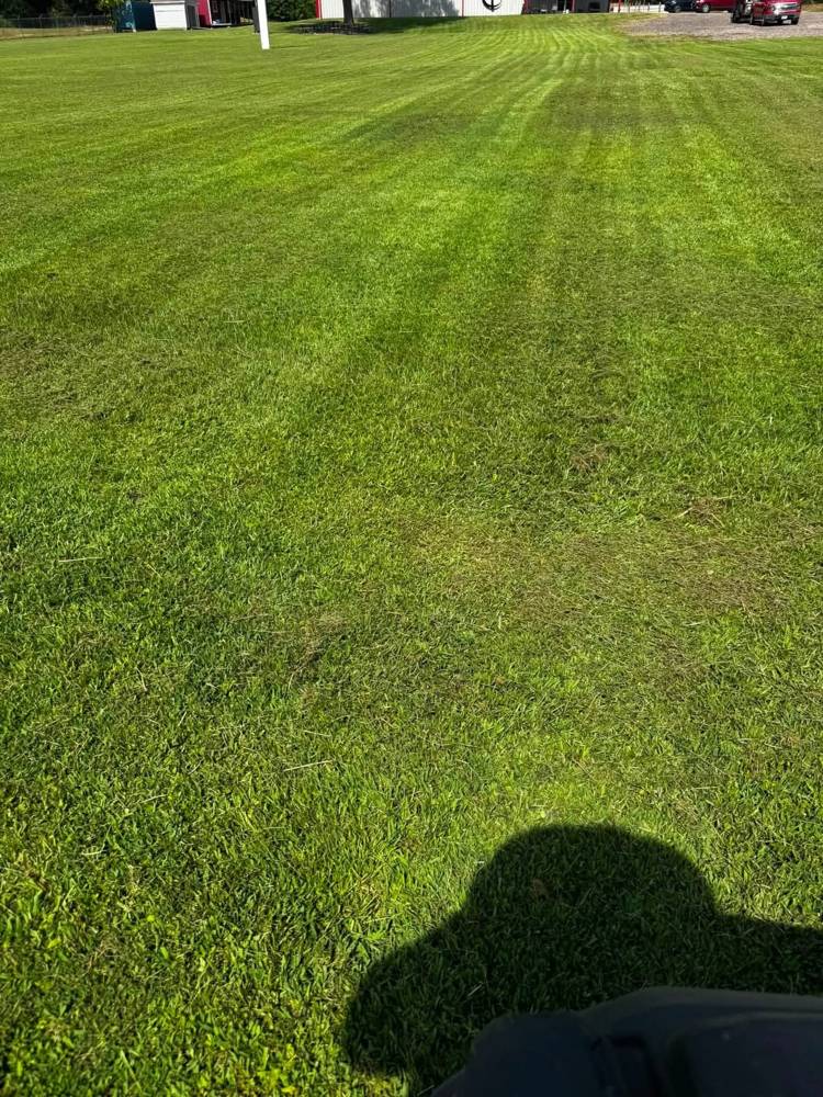 Freshly striped lawn by Lee's Lawn Care in East Texas